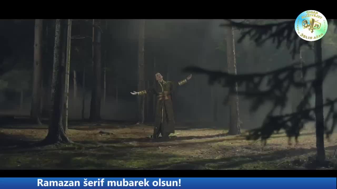 Live stream logo or thumbnail